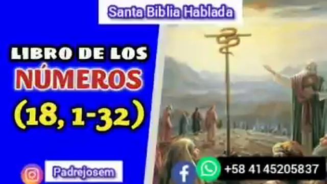 Libro De Los Números 18, 1-32|Padre José Gregorio Medina/Santa Biblia Hablada (Sacerdocio)