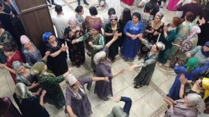 туй Новосибирск