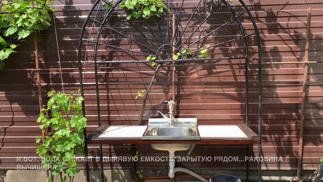 ОБУСТРОЙСТВО РАКОВИНЫ В ОГОРОДЕ ? СТРИЖКА ДЕКОРАТИВНОЙ СЛИВЫ “PISSARDII” ✂️ смотреть онлайн