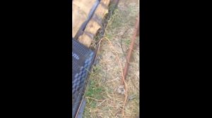 оборвался трос и насос в скважине как достать