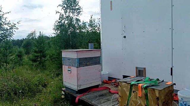 Пчелкин дом 16, кассетный пчелопавильон. Челябинск. смотреть онлайн