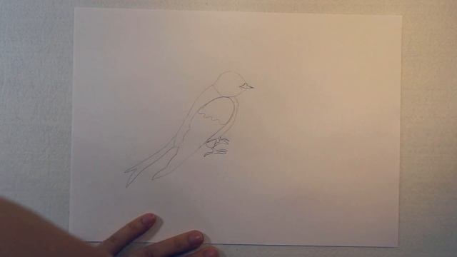 Как нарисовать карандашом ласточку DIY смотреть онлайн