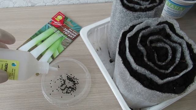 Как буду сеять лук порей в улитку и в чем замачивать семена смотреть онлайн