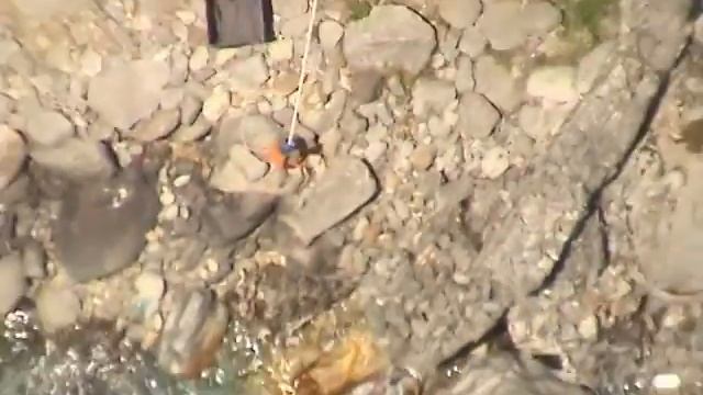 Прыжок Банджи с Марией Согриной смотреть онлайн