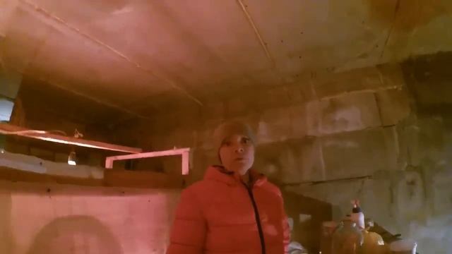 Кормление кур молодок пищевыми отходами/Ждем поросят смотреть онлайн