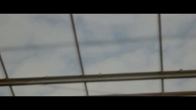 паранойя смотреть онлайн