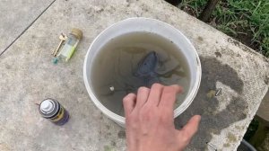 Конденсат в теплице. Как убрать конденсат в теплице.