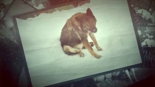 Фон из фото, воспоминание. Видео из фото. смотреть онлайн