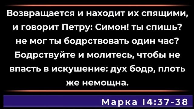 Молодежное Богослужение 28.10.2023 смотреть онлайн