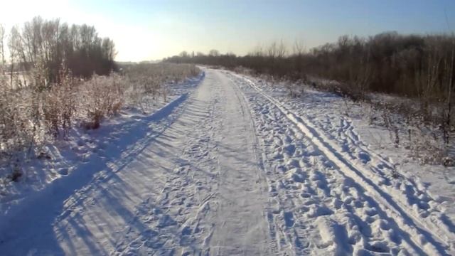 Зимние ботинки Lowa MONTREAL GTX MID 2019 год смотреть онлайн