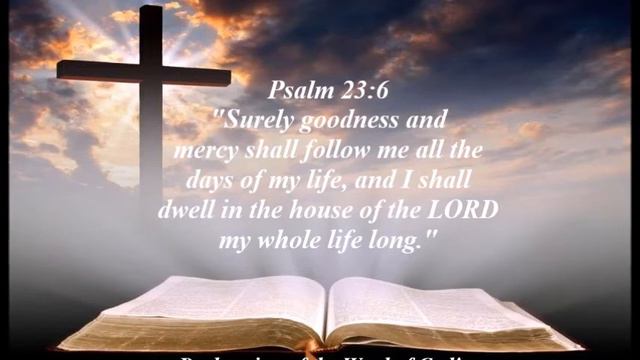 Declaration of The Word of God | 10th Nov 2021 | Psalm 23 : 6 смотреть онлайн