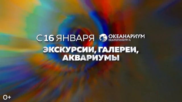НОВОЕ ШОУ ДЕЛЬФИНОВ И БЕЛЫХ КИТОВ "СТРАНА ДЕЛЬФИНиЯ" смотреть онлайн