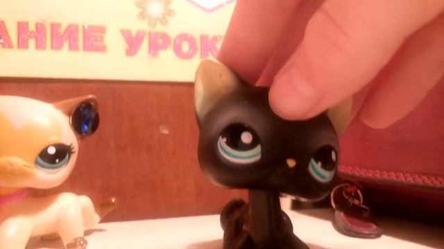 Lps распаковка стоячки смотреть онлайн