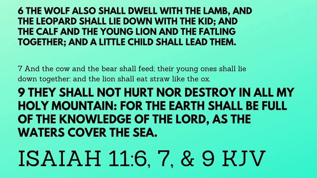 WHAT DOES THE BIBLE SAY ABOUT GOING VEGAN? - TOP 30 VEGAN BIBLE VERSES смотреть онлайн