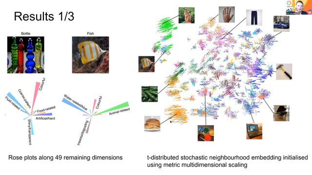 Journal Club: Hebart et al. (2020), a massive online similarity judgment study смотреть онлайн
