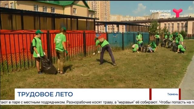 Трудовое лето | Тюмень смотреть онлайн