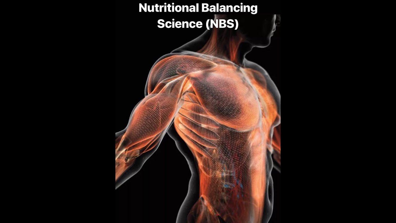 Анализ волос. Биохимия организма.Nutritional Balancing Science (NBS). Introduction.