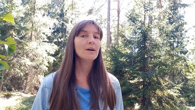 Кто я? О Швеции, шведском и шведскости смотреть онлайн