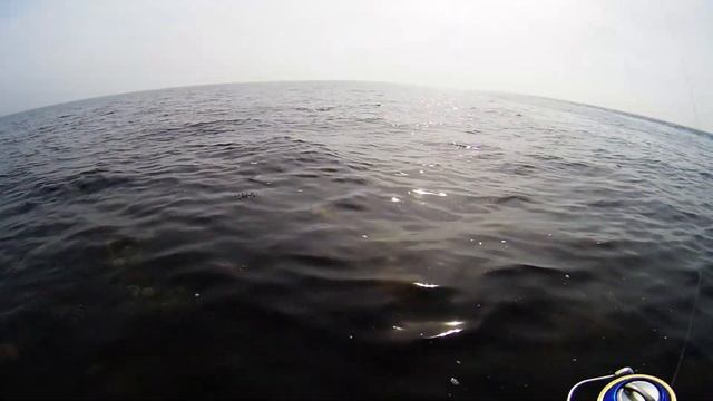 Snurrebassen (Reersø 2017) - OG Paint смотреть онлайн
