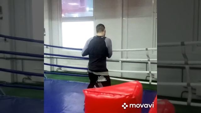 БОКС. Тренировка по боксу. Отработка в парах. Спарринг. Работа на мешке смотреть онлайн