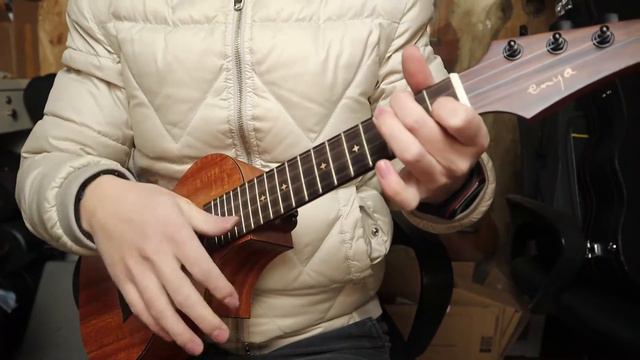 Enya concert HPL ukulele смотреть онлайн