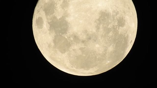 Nikon Coolpix P900 moon video смотреть онлайн