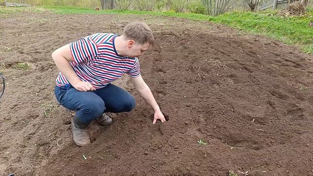 Обзор мини культиватора Brait BR 30A(ЛУЧШИЙ МИНИ-КУЛЬТИВАТОР С ВАЙЛБЕРИС ДО 20000 РУБ)