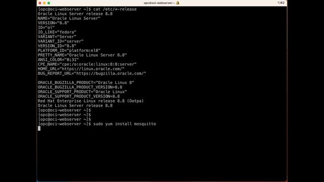 Installing MQTT in Oracle VM with Snap Package Manager | NodeRED Series#04 смотреть онлайн