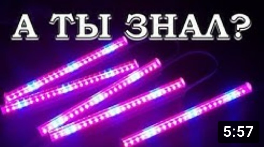 ФИТОЛАМПЫ с АЛИЭКСПРЕСС: видеообзор и тест