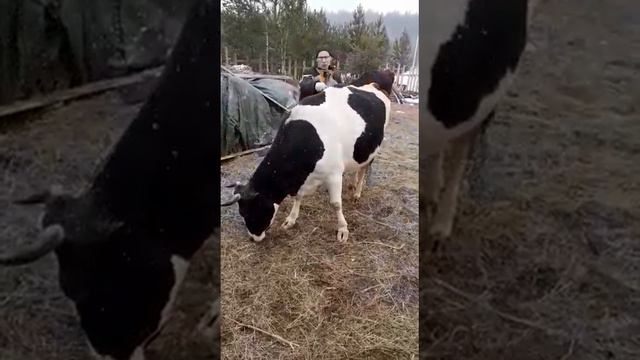 20 мая 2021 г. смотреть онлайн