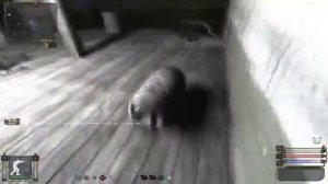 S.T.A.L.K.E.R. Народная Солянка 2016. Похищение ящика с блокпоста