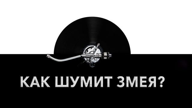 Как шумит змея? ? Звук шумящей змеи и какие звуки издает змея смотреть онлайн