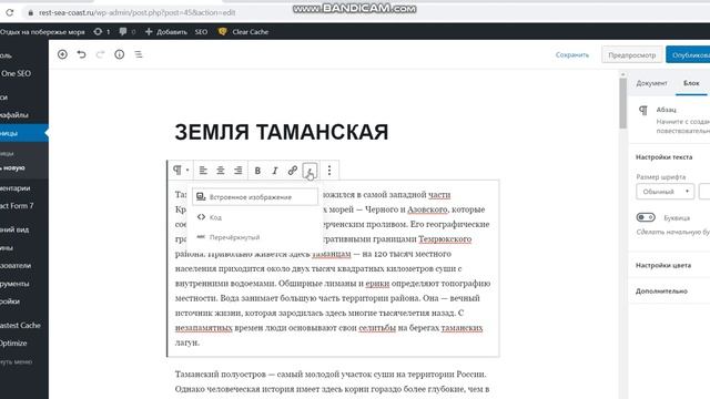 Как разместить страницу с текстом и картинкой на сайте WordPress смотреть онлайн