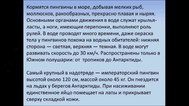 Многообразие птиц. Биология 7 класс смотреть онлайн
