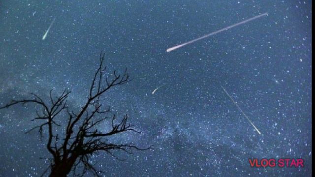 Поэзия: "Так иногда бывает мир суров..." смотреть онлайн