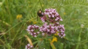 Хакасия. Достопримечательности. Гладенькая. Летний поход.