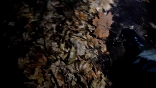 ЗАБРОШЕННЫЙ ПИОНЕРСКИЙ ЛАГЕРЬ! НОЧНОЙ СТАЛК. ЧАСТЬ 1 смотреть онлайн