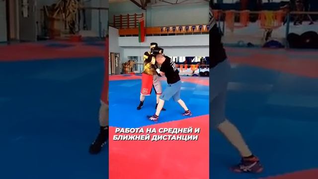 Лёгкий спарринг руками на средней и ближней дистанции - Light Sparring in Middle & Close Range смотреть онлайн