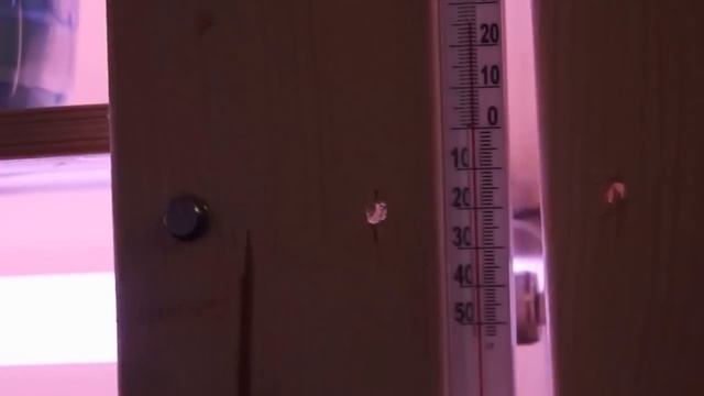 Всходы ЛОБЕЛИИ И ПЕТУНИИ Часть 2 смотреть онлайн