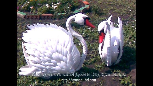 Лебедь з шины 1