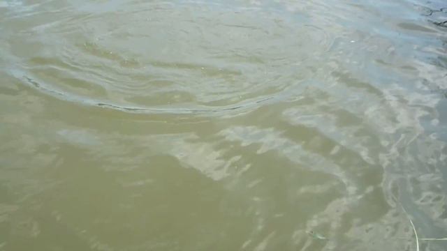 Рыбалка на Волге, мастер-класс. смотреть онлайн