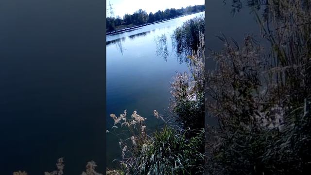 Рыбалка в г. Вязьма, Смоленская обл. смотреть онлайн