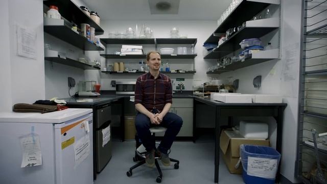 What self-driving cars can learn from brainless slime mold смотреть онлайн