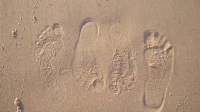 Спасибо за день, спасибо за ночь... смотреть онлайн