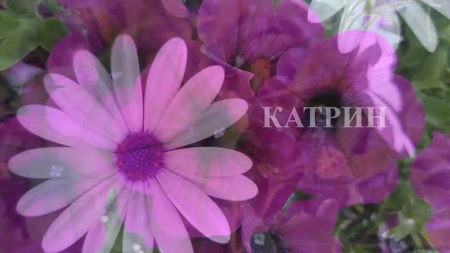 Катя, Катюша, Екатерина, Катенька, С днём рождения! Happy Birthday, Katerina! смотреть онлайн