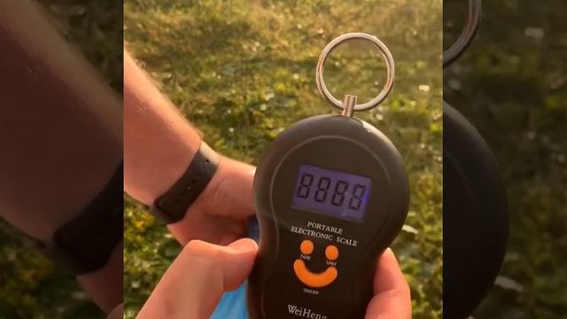 Взвешивание карпа: вес в кг )/Carp weighing: weight in kg) смотреть онлайн