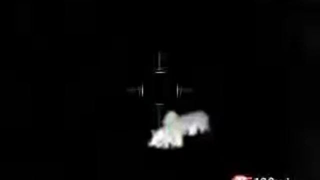ANT Thor4 1.25-5x AR15 - Barnes TXS 70grain (10-31-18) смотреть онлайн