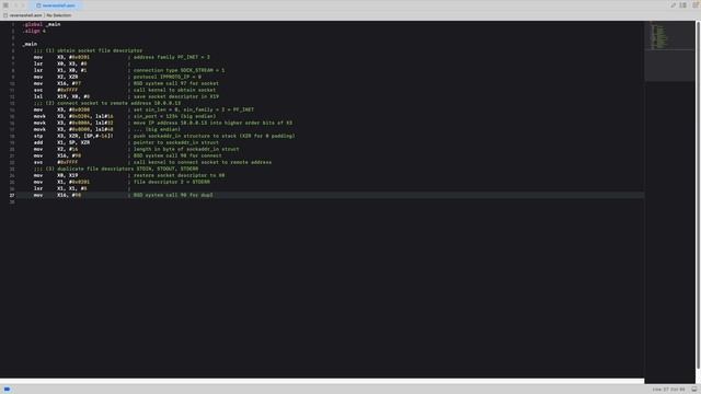 Quick macOS ARM64 reverse shell (no explanations) смотреть онлайн