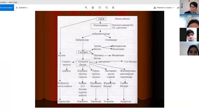БИОХИМИЯ КАЗ\Занятие №8. Гормондардың биохимиясы. смотреть онлайн