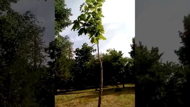 ❤️😍😜 сказка для детишек дочек и сынишек для красоток и молодёжи и спортсменов тоже 😍😍😍 смотреть онлайн